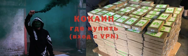 прущие грибы Новодвинск