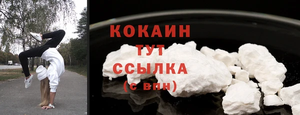 прущие грибы Новодвинск
