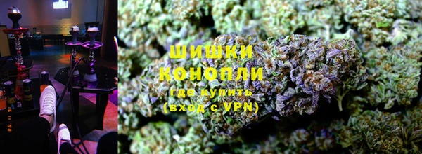 бошки Новозыбков