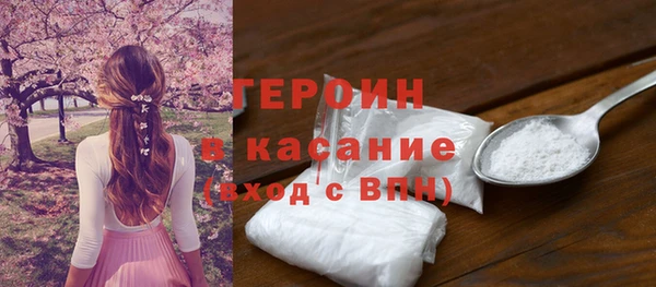 прущие грибы Новодвинск