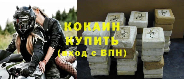 бошки Новозыбков