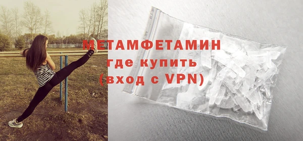 прущие грибы Новодвинск