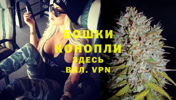 прущие грибы Новодвинск