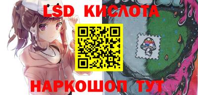 шишки Абакан