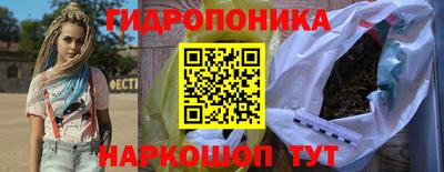 ешки Гатчина