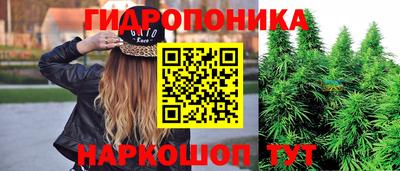 ешки Гатчина