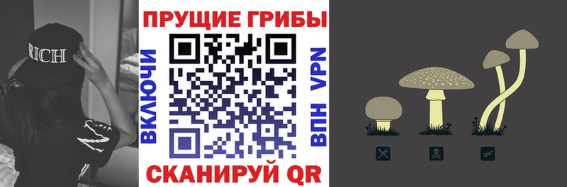 наркотики  Ялта  Галлюциногенные грибы мухоморы 