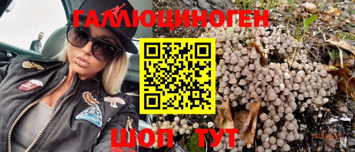 Галлюциногенные грибы Psilocybe Ялта