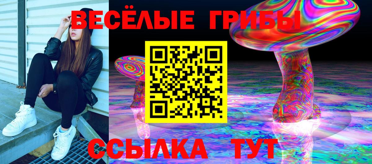 Галлюциногенные грибы GOLDEN TEACHER  продажа наркотиков  Ялта  Вход с VPN 