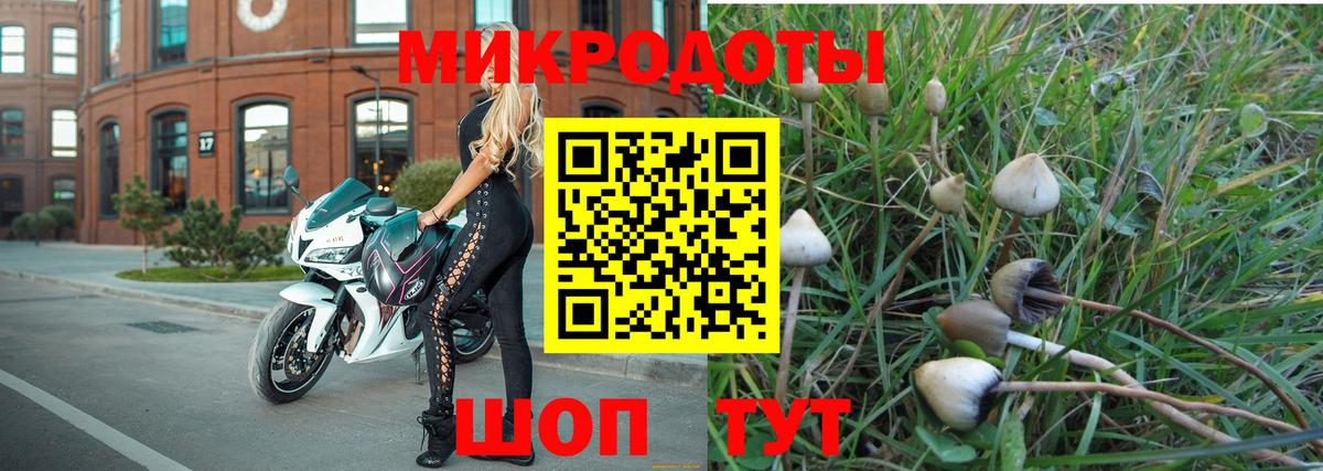 Галлюциногенные грибы Magic Shrooms Ялта