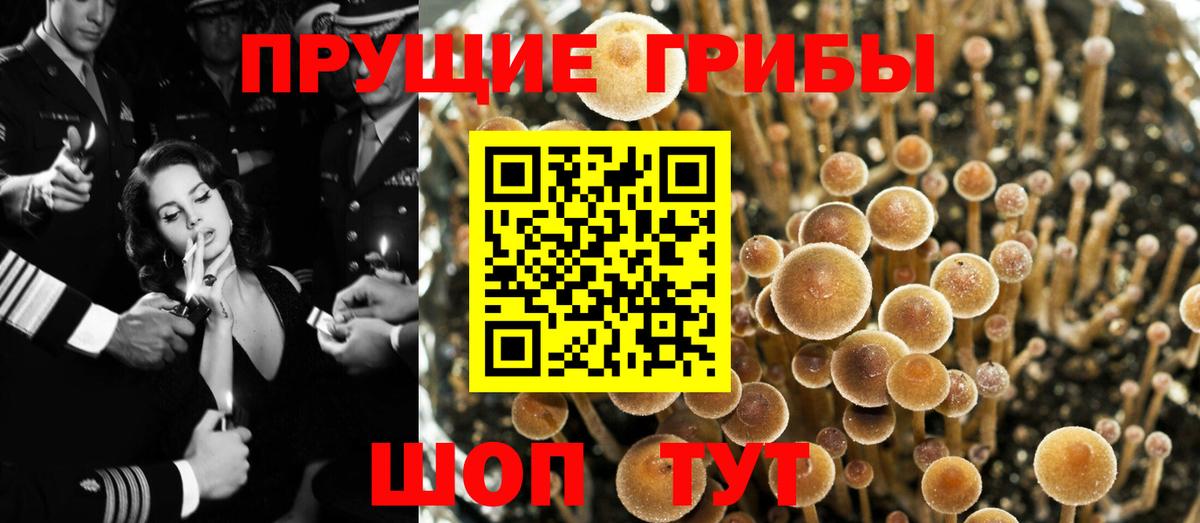 Галлюциногенные грибы Magic Shrooms  Ялта 